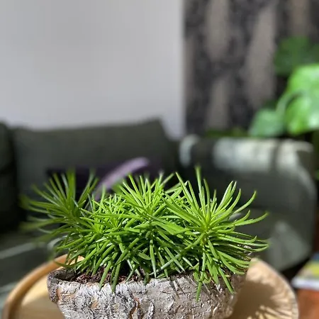 Bed & Breakfast Het Atelier