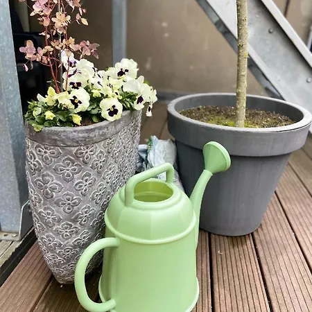 Het Atelier Bed & Breakfast