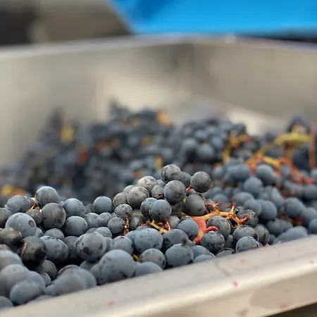 Nocleg ze śniadaniem Het Atelier