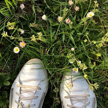 Nocleg ze śniadaniem Het Atelier