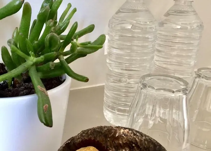 Het Atelier 杜斯堡