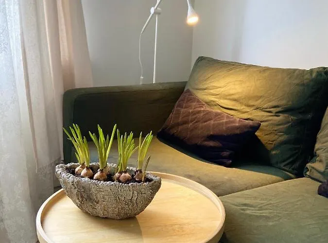 Het Atelier * 杜斯堡