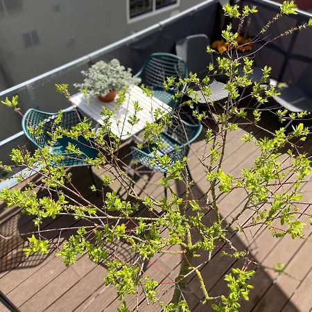 Het Atelier Bed & Breakfast *