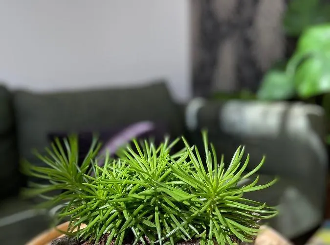 Couette-café Het Atelier