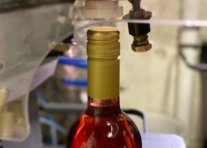 Bed & Breakfast Het Atelier *