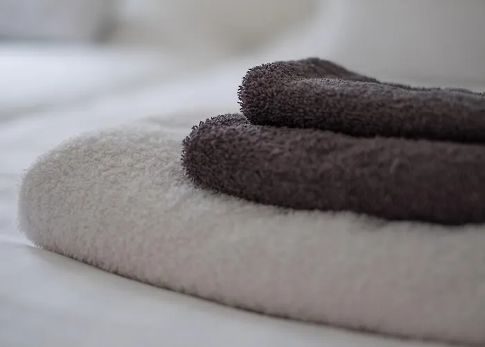 Het Atelier Bed & Breakfast Doesburg