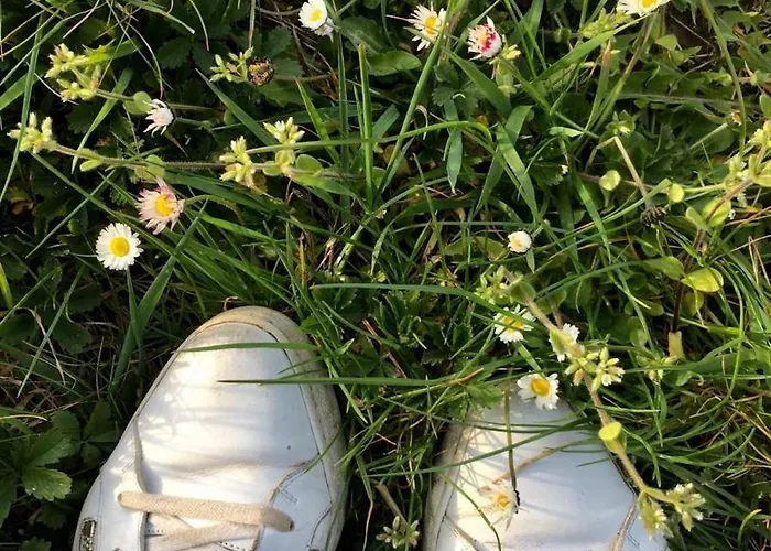 Bed & Breakfast Het Atelier